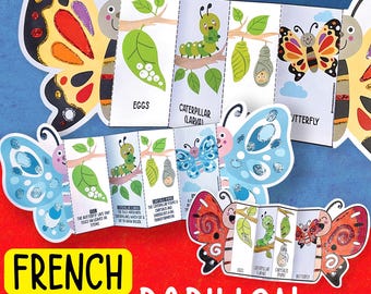 Französischer Schmetterling Lebenszyklus Handwerk für Kinder, faltbare wissenschaftliche Aktivität PDF, Frühling STEM Projekt, Vorschulkindergarten Lernen, Insekten Einheit