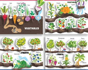 Cute Fruits and Vegetables Sorting Worksheet, Fruits and Vegetable Shadow Game, Fruits and Vegetables Matching, Learning Folder, Velcro Game