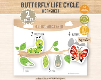 Butterfly Life Cycle Activity, PreK Curriculum Matching Printable, Montessori Science Worksheet, Fine Motor Skills Matching, homeschool mom