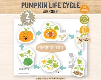 Pumpkin Life Cycle Activity for Kids | Interactive Botany Sorting Pages | Toddler Fine Motor Science Game | Montessori Preschool Fall PDF