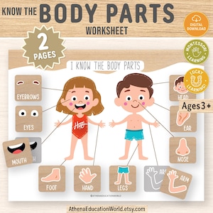 May include: Educational worksheet titled "I Know the Body Parts" featuring cartoon illustrations of a boy and girl. The worksheet labels body parts with text and includes the text "Ages 3+" and "Digital Download".