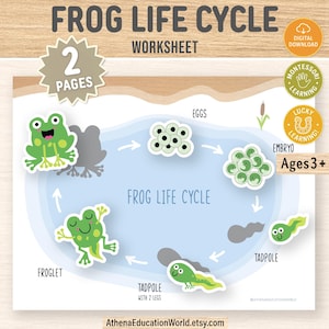 May include: Educational worksheet illustrating the frog life cycle, featuring stages from eggs to froglet. The design includes a blue pond with cartoon frogs and the text "Frog Life Cycle Worksheet". Includes the text "Ages 3+".