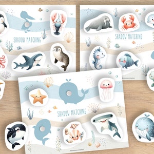 Puede incluir: Tres juegos de emparejamiento de sombras con ilustraciones de acuarela de animales marinos. Cada juego tiene un fondo con una escena de playa y las palabras "SHADOW MATCHING". Las criaturas marinas incluyen un ping&uuml;ino, un pulpo, un tibur&oacute;n, un delf&iacute;n y una ballena.