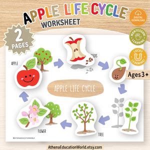 May include: An educational Apple Life Cycle worksheet featuring colourful illustrations of an apple, tree, flower, and seed stages. The page includes text labels, directional arrows, and circular badges indicating a digital download for ages 3+.