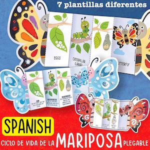 Spanish Butterfly Life Cycle Craft for Kids,Foldable Science Activity PDF ,Spring STEM Project, Preschool Kindergarten Learning,Insects Unit