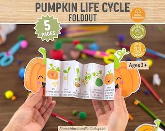 Pumpkin Life Cycle Craft Printable for Kids, Fall Science Activity, Preschool Classroom Foldout Project, Pumpkin Life Cycle Worksheet