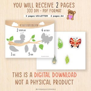 May include: Digital educational resource showing the butterfly life cycle, with stages labelled in English. Includes a colourful butterfly cutout and the text "YOU WILL RECEIVE 2 PAGES". The format is PDF.