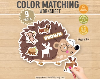 Color Matching Activity for Kids | Interactive Velcro Sorting Pages | Toddler Fine Motor Shade Game | Montessori Preschool Binder PDF Pack