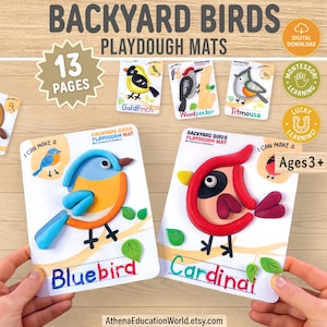 Pode incluir: Tapetes de plasticina com ilustrações de pássaros, incluindo um pássaro azul e um cardeal, com o texto "Backyard Birds Playdough Mats". O conjunto inclui 13 páginas e é adequado para crianças a partir dos 3 anos.