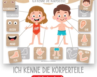 German Body Parts Worksheet,Toddler Activity,Homeschool Printables,Kindergarten Learning Resources,Preschool Curriculum, Learning Body Parts