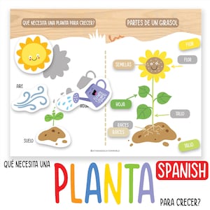 May include: Educational poster illustrating plant growth and sunflower parts. The poster features a smiling sun, wind, soil, and a watering can. The text includes "What does a plant need to grow?" and "Parts of a sunflower."