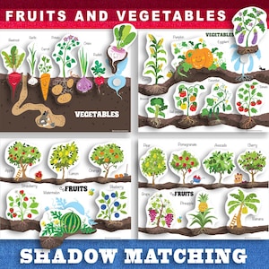 Folha de exercícios de classificação de frutas e vegetais fofos, jogo de sombra de frutas e vegetais, correspondência de frutas e vegetais, pasta de aprendizagem, jogo para crianças pequenas