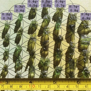 May include: A display of green, crystalline stones, each with a weight label in grams, from 0.1g to 1.0g. The stones are arranged in rows. A yellow measuring tape, marked in inches, is positioned below the stones for scale.