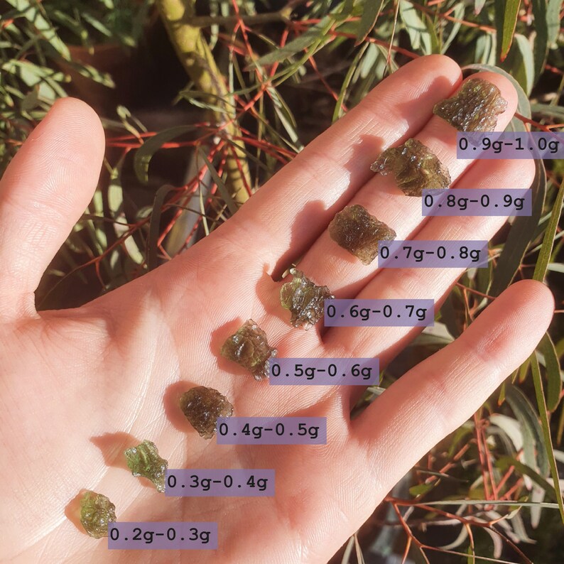 May include: A hand holds several pieces of green-brown moldavite, each labelled with its weight in grams. The pieces range from 0.2g to 1.0g. Green foliage forms the background.