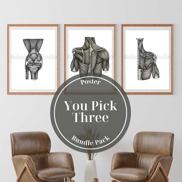 Custom Set of Three Anatomy Poster Bundle Custom Poster Set You Pick Three Poster Pack of Three Anatomy Wall Art Bundle Anatomy Art Set