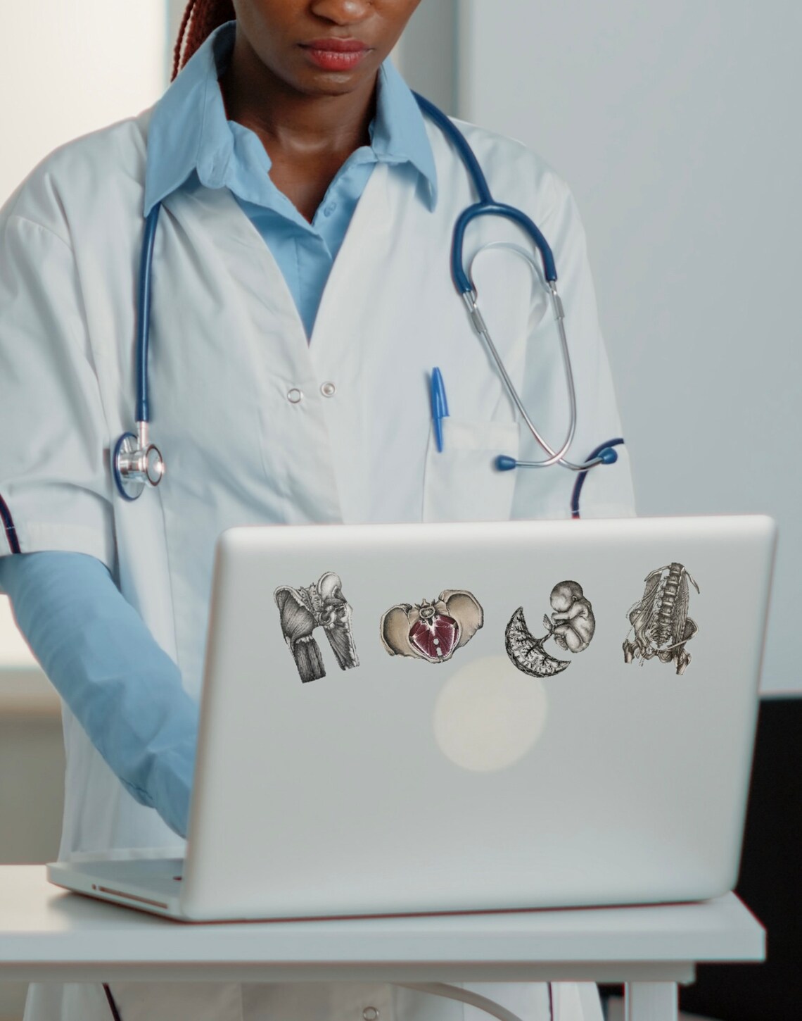 Clear Vinyl Sticker Pelvic Floor Anatomy Sticker for OBGYN Sticker for ...