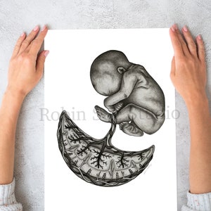 Placenta Art for OBGYN Gift for Midwife Gift for Doula Gift for Labor ...
