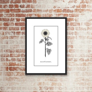 Sunflower - Digital Gallery Wall Art, Trendy Wall Art.