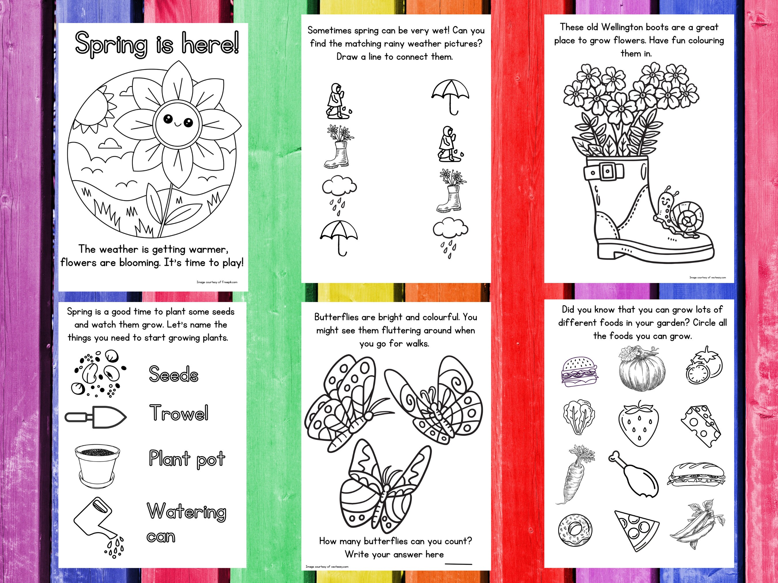 Printable Spring Activity Sheets, UK & US Spellings, Spring Colouring ...