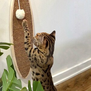 Rascador de pared para gatos: sisal natural y madera, mueble moderno para gatos