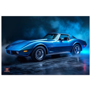 79 Corvette stingray