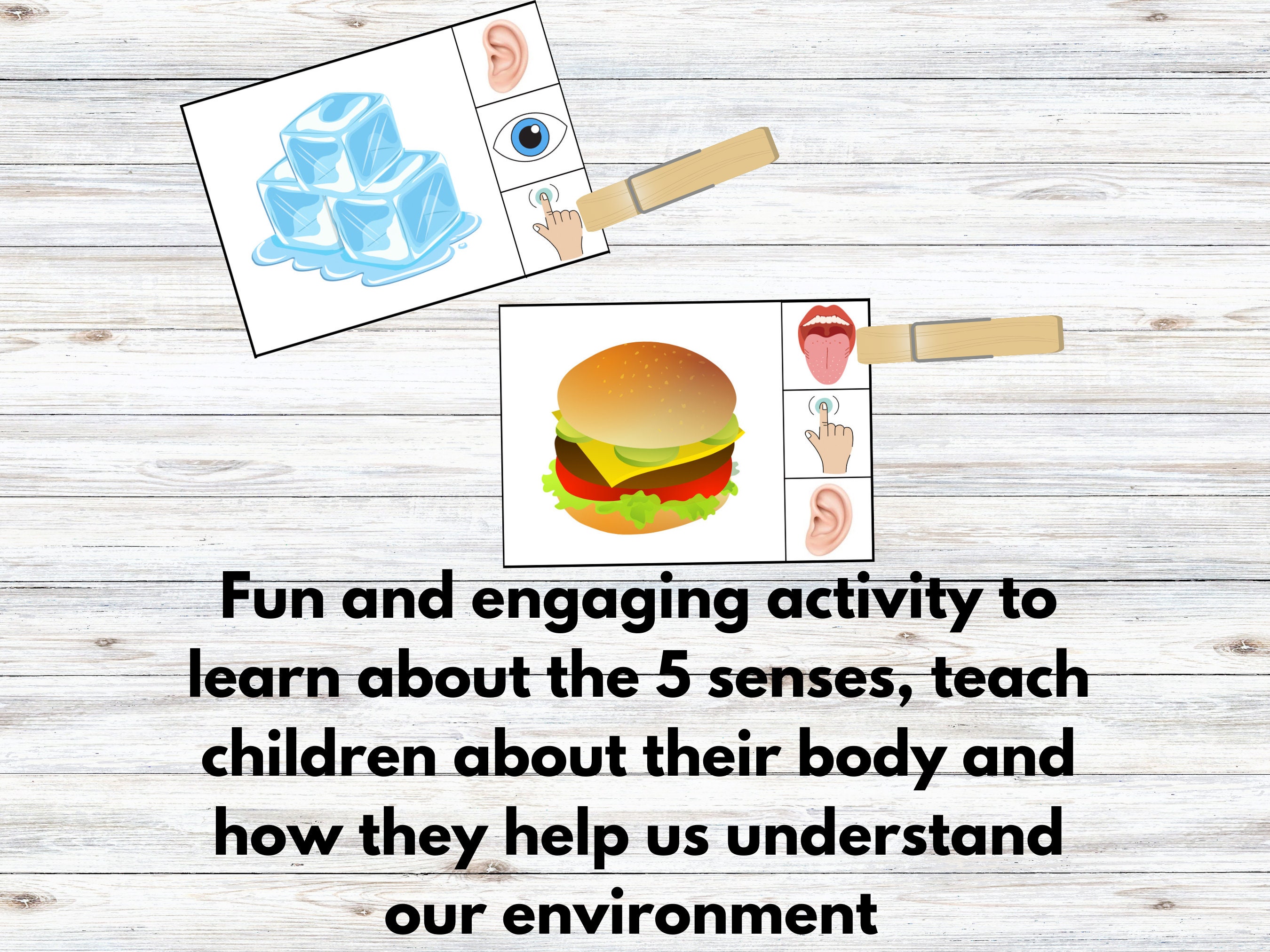 5 Senses Clip Cards Sort and Match Game Kids Learning Game - Etsy