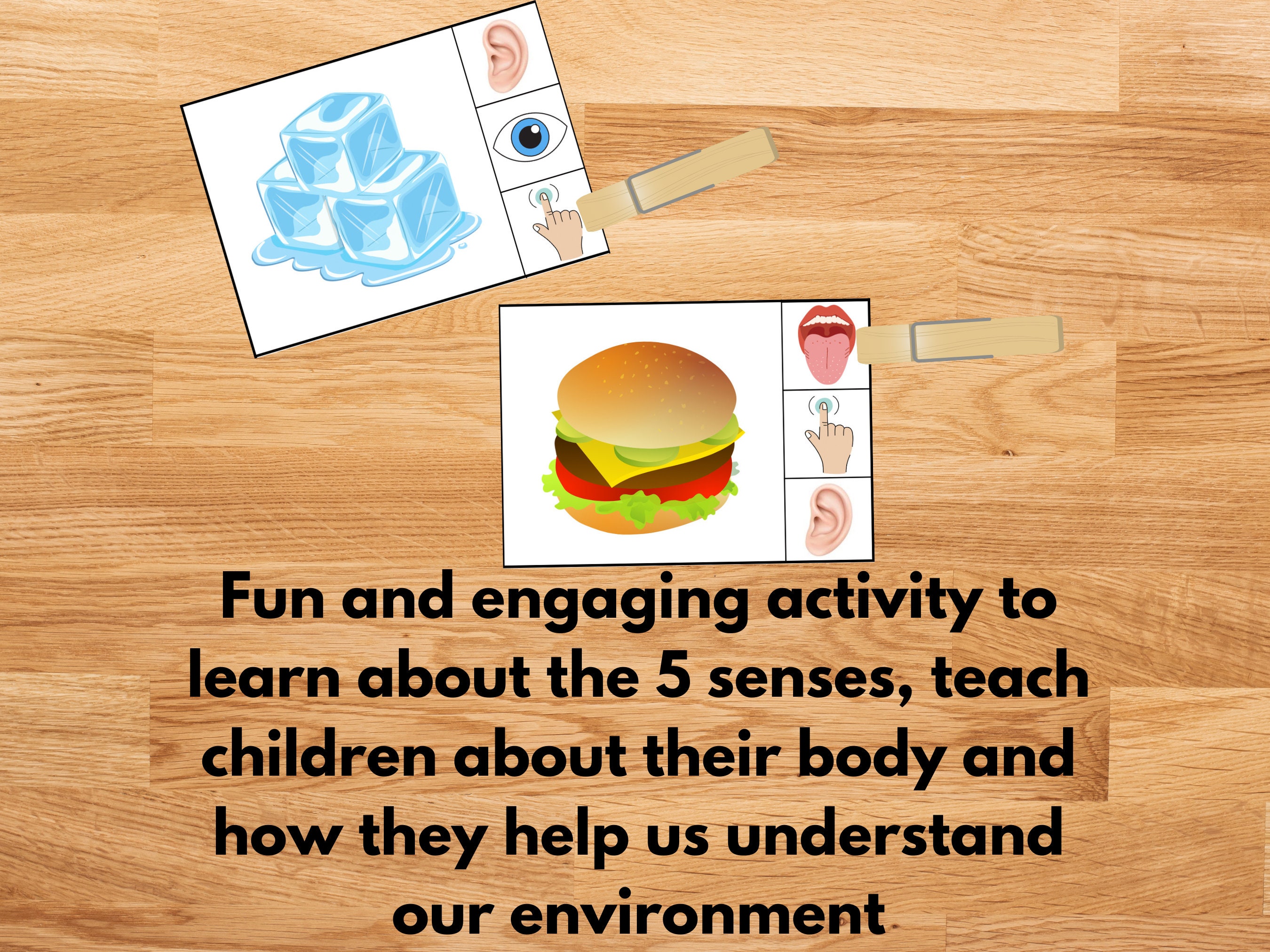 5 Senses Clip Cards, Sort and Match Game Kids Learning Game ...