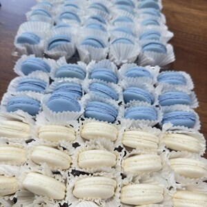 May include: An assortment of light blue and white macarons, arranged in rows. The macarons are in white paper cups, and the image is taken from a slightly elevated angle, showcasing the treats.
