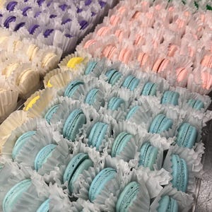 May include: An overhead shot showcases an assortment of colorful macarons, each nestled in individual paper cups. The macarons are arranged in rows, with colors including blue, pink, purple, red, green, and yellow. The image highlights the variety and presentation of the sweet treats.