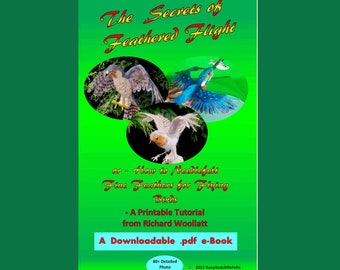 Needlefelting Downloadable  .pdf  e-Book - The Secrets of Feathered Flight (or How to Needlefelt Fine Feathers for Flying Birds. (21 pages)