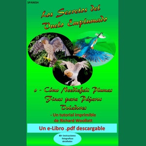e-Libro descargable .pdf de Needlefelting - Secretos del Vuelo Emplumado (o cómo fieltrar plumas finas para pájaros voladores. (21 páginas)
