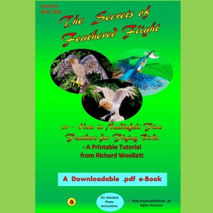 Puede incluir: Una portada de ebook verde con el título "The Secrets of Feathered Flight" e imágenes de aves. El texto dice "How to Needlefelt Fine Feathers for Flying Birds" y "A Downloadable .pdf e-Book".