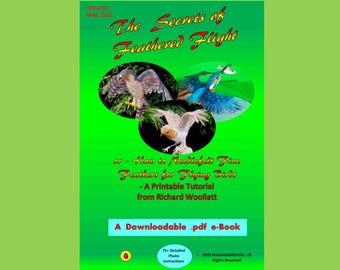 Needle Felting Bird Feather Tutorial – PDF eBook (21 Pages)