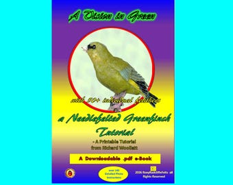 Tutorial per la realizzazione di un fringuello verde in feltro ad ago – eBook in PDF (38 pagine)