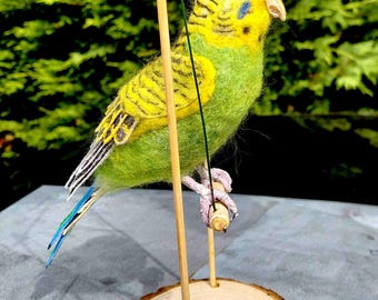 Needlefelted Life-size Budgerigar  (Budgie)  Sculpture
