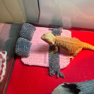 Bearded Dragon  Bedding set