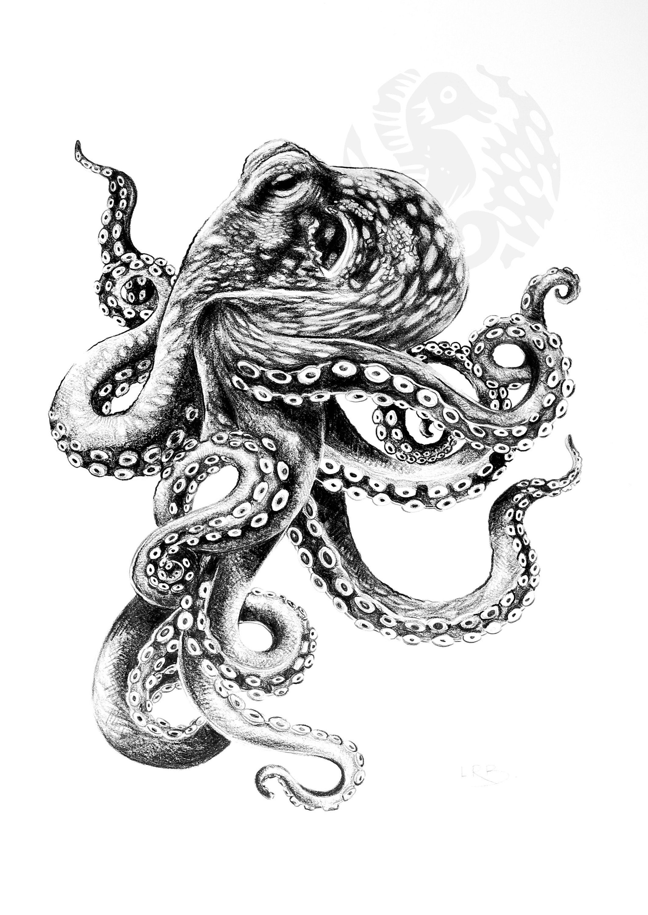 Deliberti BLU COSTIERA Sea collection set 3 polpo in ceramica blu cod.  401296 - Deliberti The Luxury Shopping Vendita Calda | Abbigliamento |  ccfpjamaica.com, image size:2125x3000