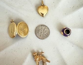 Könnte beinhalten: Eine Sammlung goldfarbener Anhänger und Charms, darunter ein Herz, ein Medaillon, ein Hund und eine lila Perle mit goldenen Akzenten. Eine Silbermünze dient als Größenvergleich. Die Artikel sind auf einer weißen Oberfläche angeordnet.