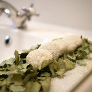 May include: Five round, white, handmade soap bars arranged on a white marble tray with green eucalyptus leaves.