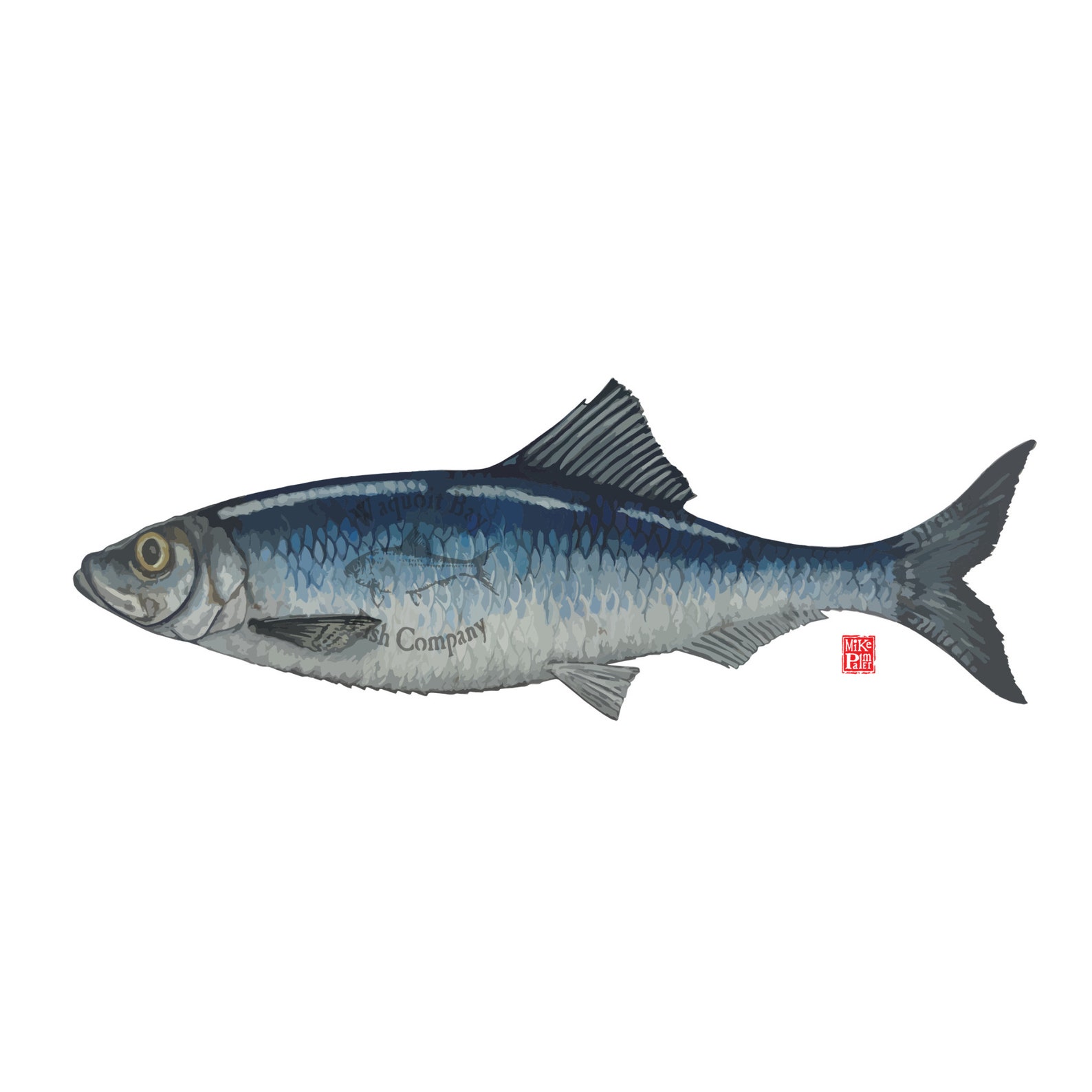 Atlantic Herring Vector Art Fish Vector Art Atlantic Herring Etsy