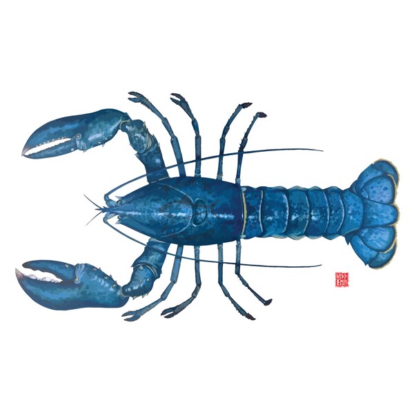 Blue Lobster Etsy