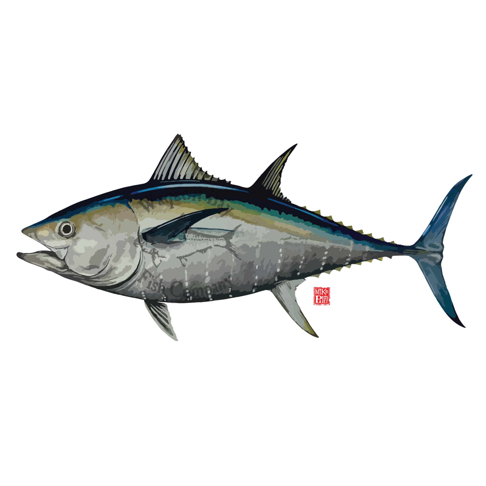 Bluefin Tuna Vector Art Fish Vector Art Vector Art Bluefin Etsy