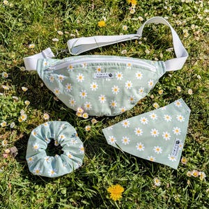 Sac banane, promenade main libre, pour dog Mum et dog dad.
