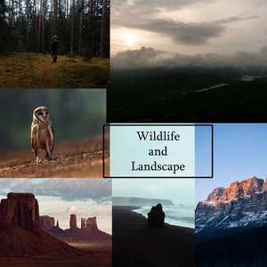 11 Lightroom Wildlife and Landscape Presets | Wildlife Presets | Querformat-Presets | Tier-Presets | Nature Presets