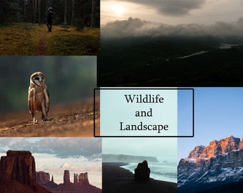 11 Lightroom Wildlife and Landscape Presets | Wildlife Presets | Landscape Presets | Animal Presets | Nature Presets