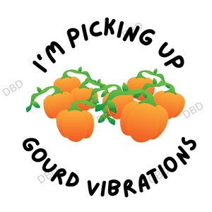 Op de afbeelding: Grafisch ontwerp met een cluster van oranje pompoenen met groene wijnstokken. De tekst "I'm picking up gourd vibrations" is in een cirkel rond de pompoenen geschreven. Het ontwerp staat op een witte achtergrond.