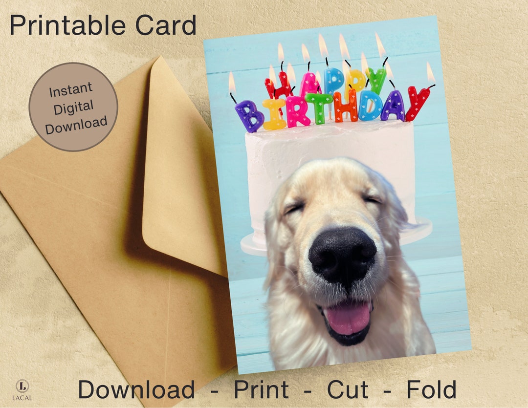Greeting Card From the Dog Printable Birthday Card Cute Etsy