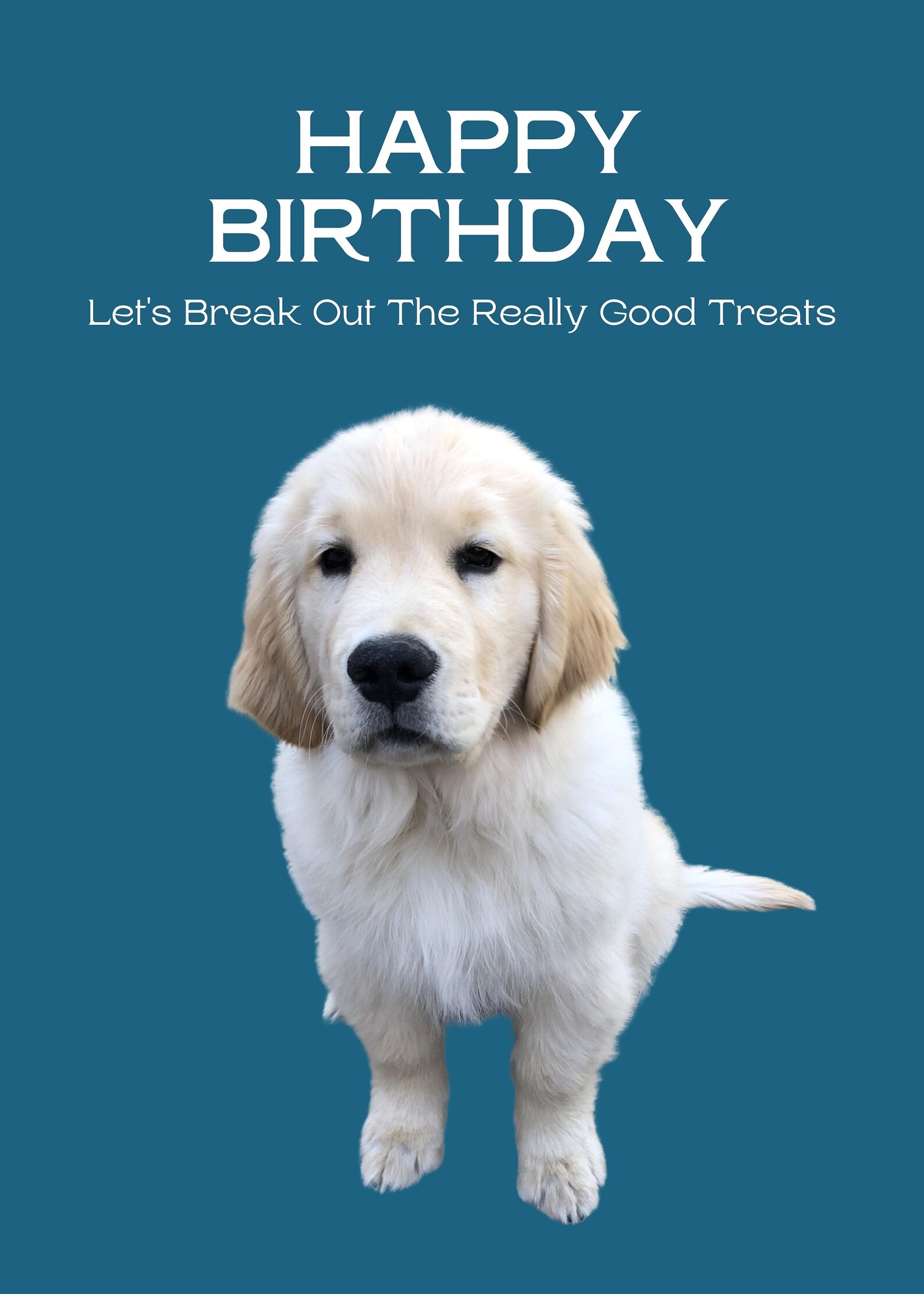 Printable Birthday Card Greeting Card From the Dog Cute Digital ...
