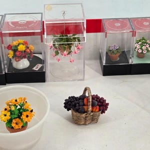 Lotto di 8 piante e fiori in miniatura per casa delle bambole, in vasi e fioriere