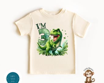 Im 3 Dinosaur Birthday Shirt | Boys Three Year Old Birthday Sweatshirt | Dinosaur Birthday Theme